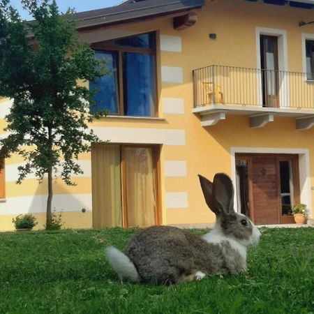 Agriturismo Fior Di Campo 드로네로 외부 사진