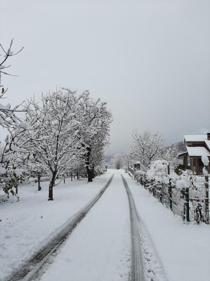 Agriturismo Fior Di Campo 드로네로 외부 사진