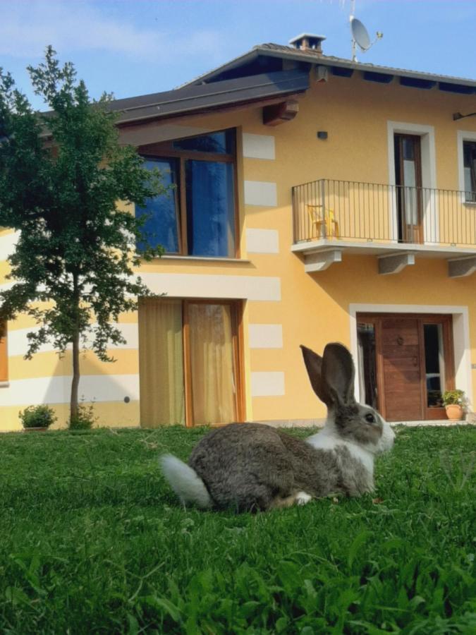 Agriturismo Fior Di Campo 드로네로 외부 사진