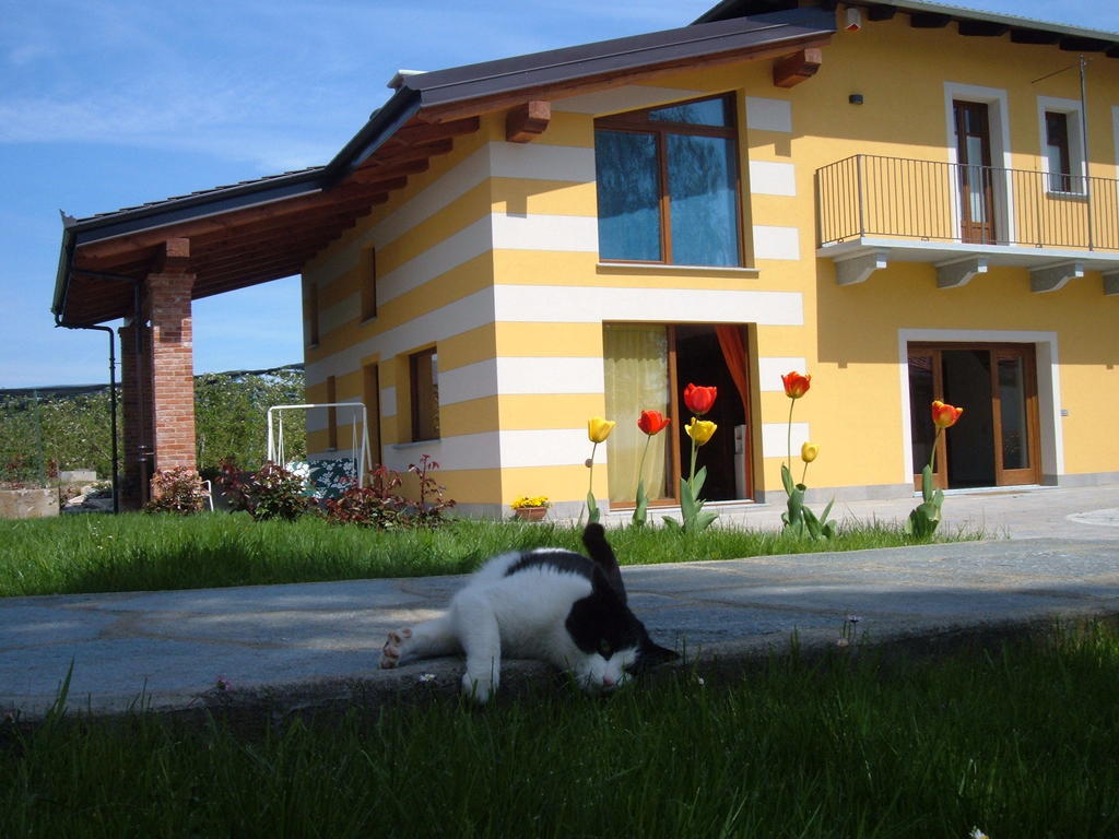 Agriturismo Fior Di Campo 드로네로 외부 사진