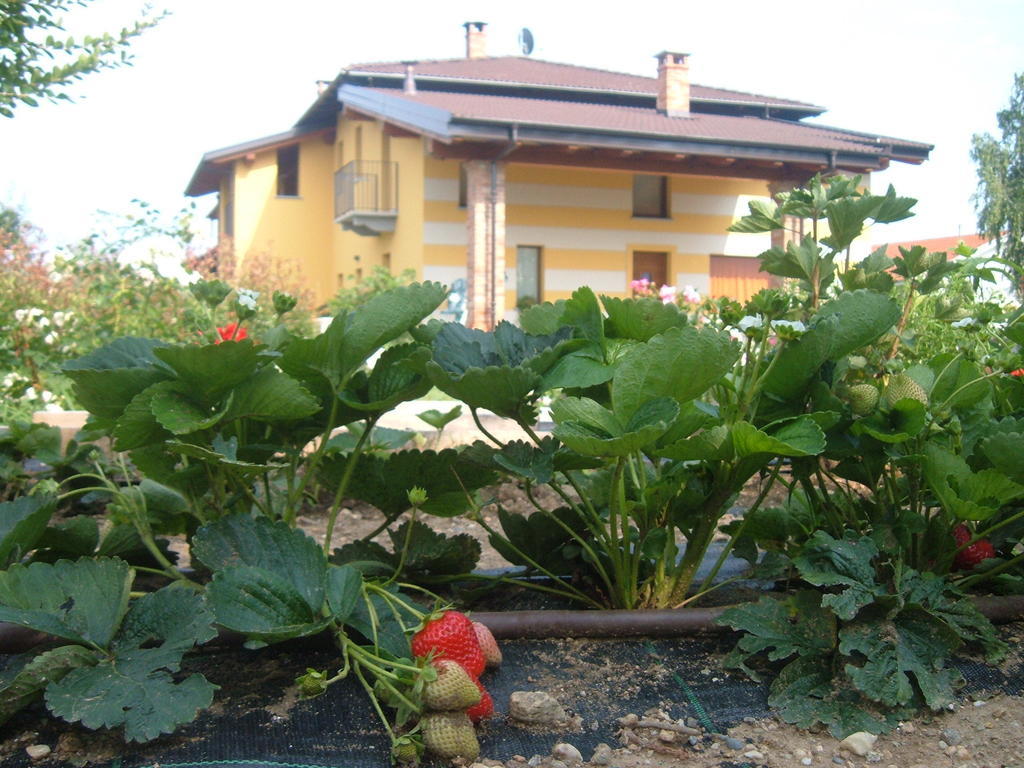 Agriturismo Fior Di Campo 드로네로 외부 사진