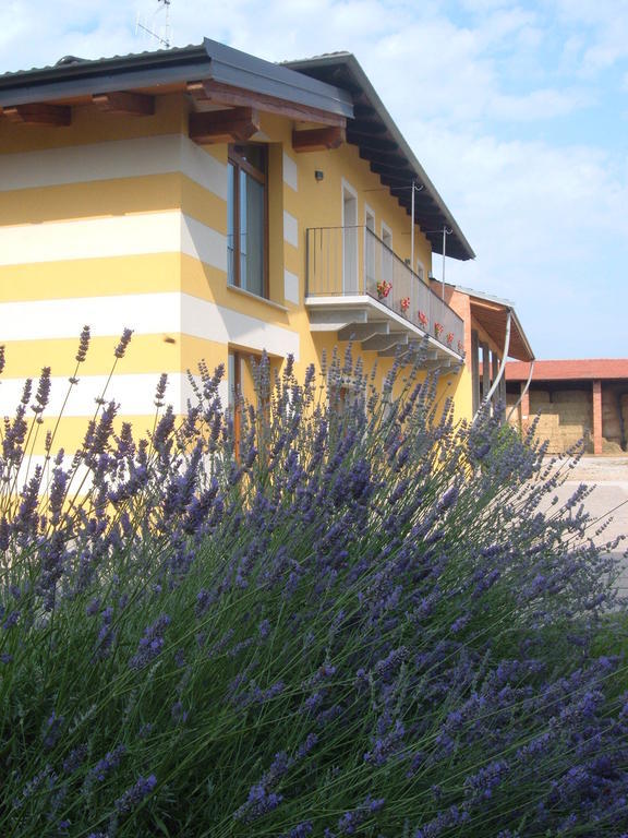 Agriturismo Fior Di Campo 드로네로 외부 사진